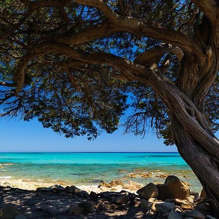 La Ginestra Konuk evi Orosei Dış mekan fotoğraf