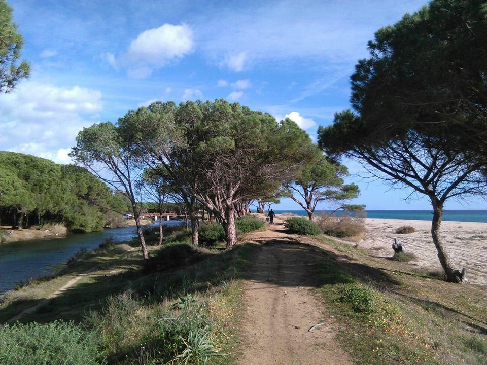 La Ginestra Konuk evi Orosei Dış mekan fotoğraf
