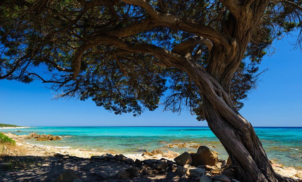 La Ginestra Konuk evi Orosei Dış mekan fotoğraf