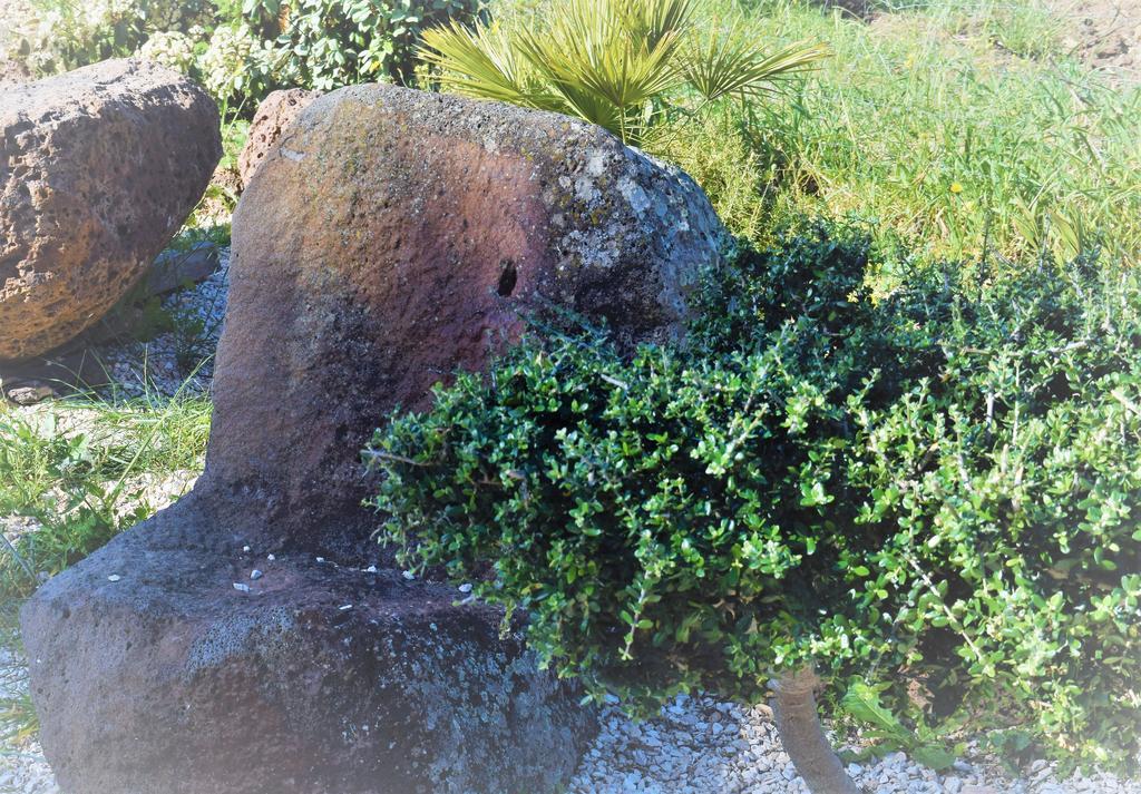 La Ginestra Konuk evi Orosei Dış mekan fotoğraf