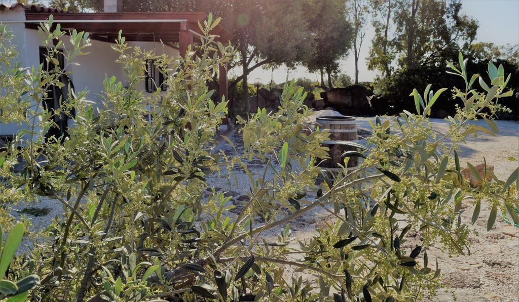 La Ginestra Konuk evi Orosei Dış mekan fotoğraf