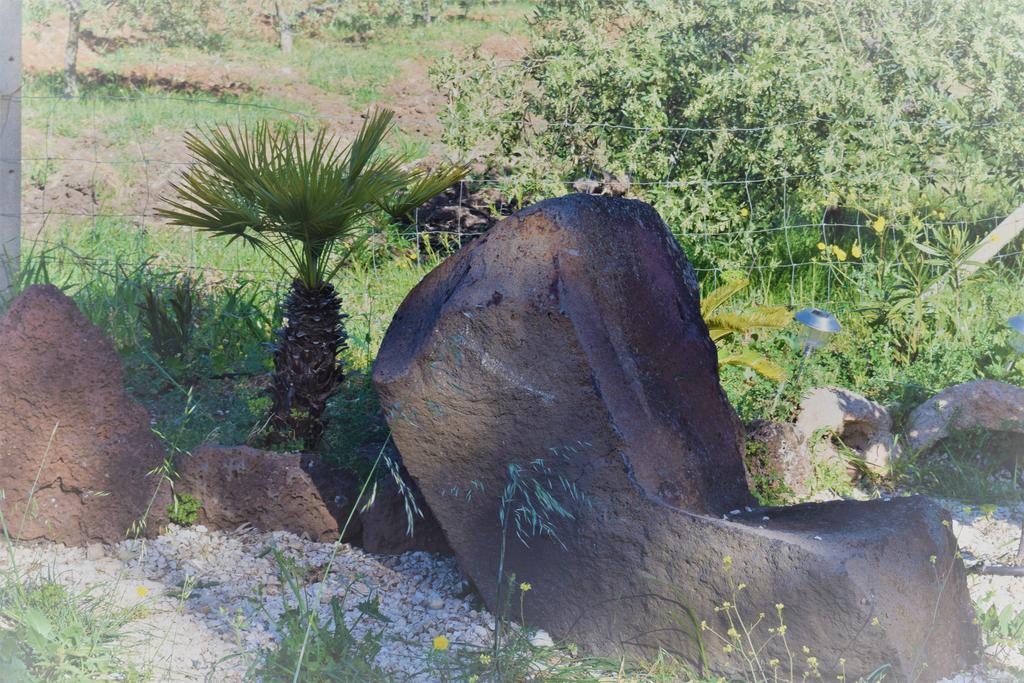 La Ginestra Konuk evi Orosei Dış mekan fotoğraf